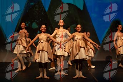 SHOW_02037.jpg